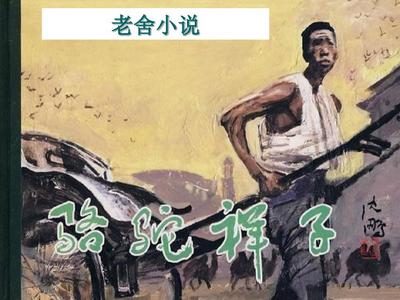 猫咪天堂影视